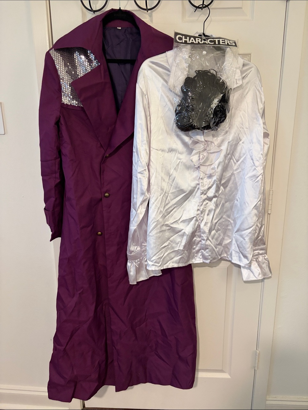 Prince “Purple Rain” Men’s Halloween Costume